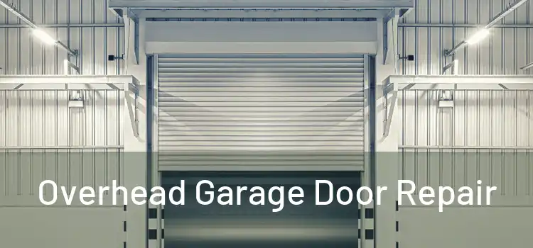  Overhead Garage Door Repair 